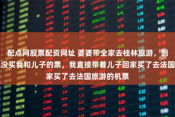 配点网股票配资网址 婆婆带全家去桂林旅游，到检票口发现没买我和儿子的票，我直接带着儿子回家买了去法国旅游的机票