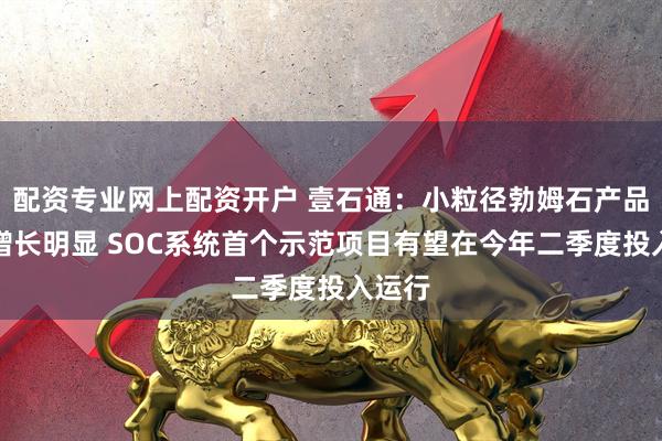 配资专业网上配资开户 壹石通：小粒径勃姆石产品出货增长明显 SOC系统首个示范项目有望在今年二季度投入运行
