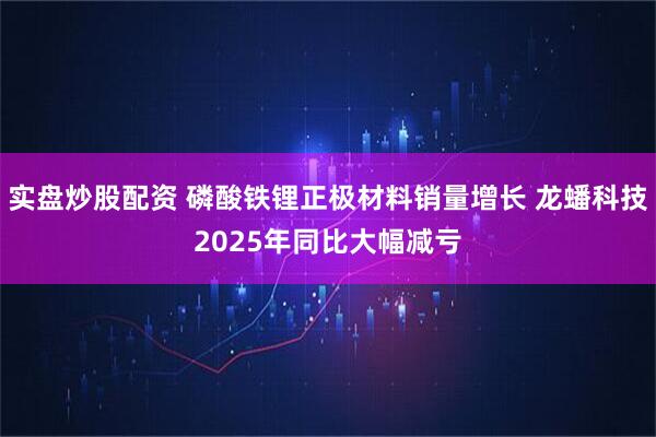 实盘炒股配资 磷酸铁锂正极材料销量增长 龙蟠科技2025年同比大幅减亏